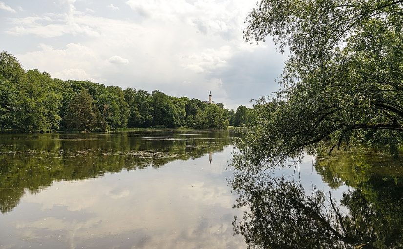 Baumfällarbeiten mit Helikopter im Fürstlich Greizer Park