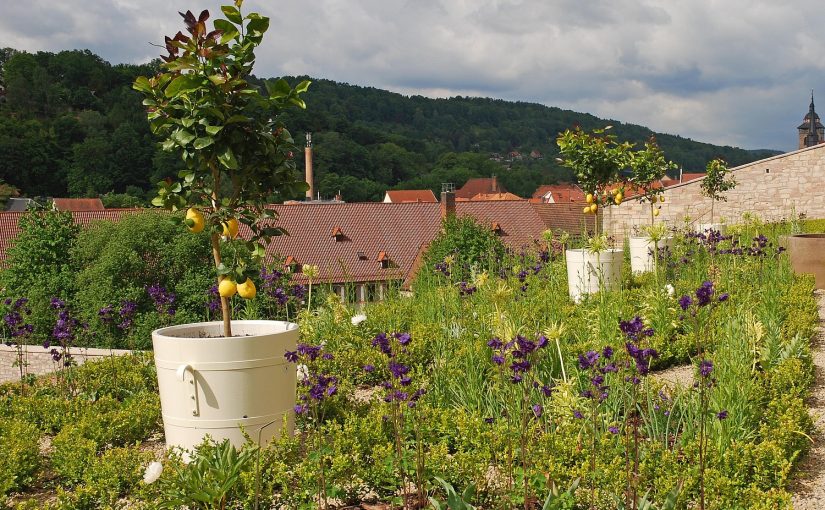 Schlossgarten Wilhelmsburg, Schmalkalden