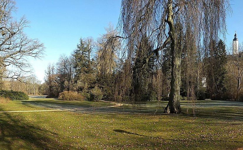Brandgefahr wegen Trockenheit in den Parkanlagen