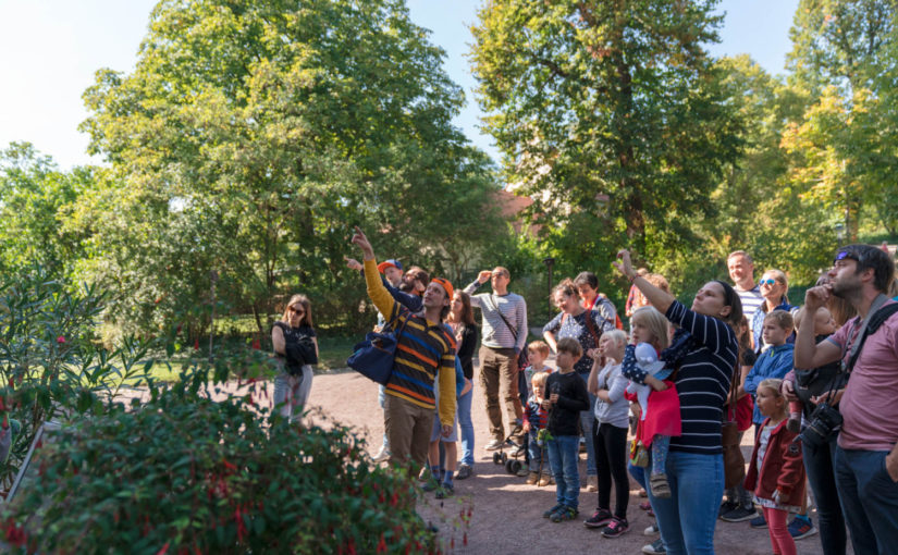 Wissen wächst im Garten | Gastvortrag zu historischer Gartenkultur in der Erfurter Peterskirche