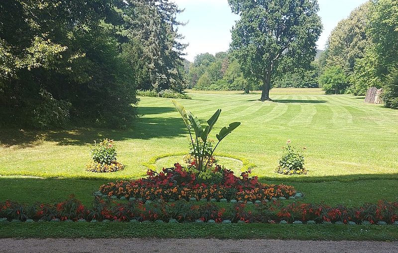 Pflanzendiebstahl im Fürstlich Greizer Park