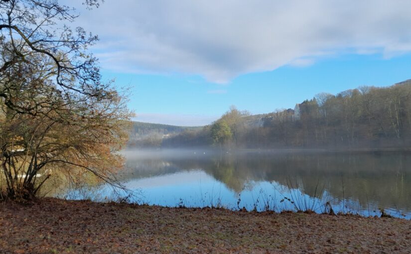 Entschlammung des Greizer Parksees beginnt