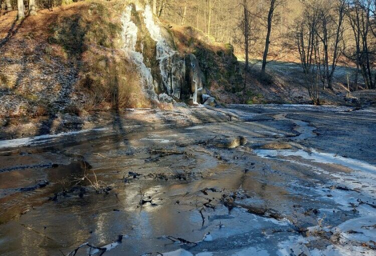 Teichentschlammung im Schlosspark Altenstein