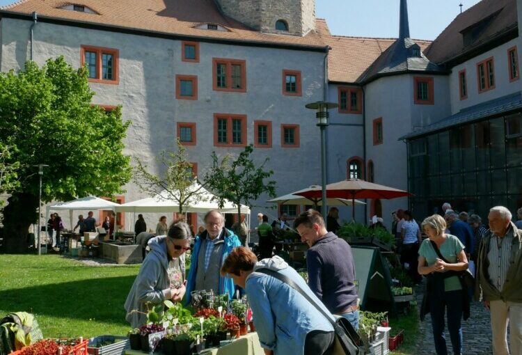 Dornburger Pflanzenbörse am 11. Mai