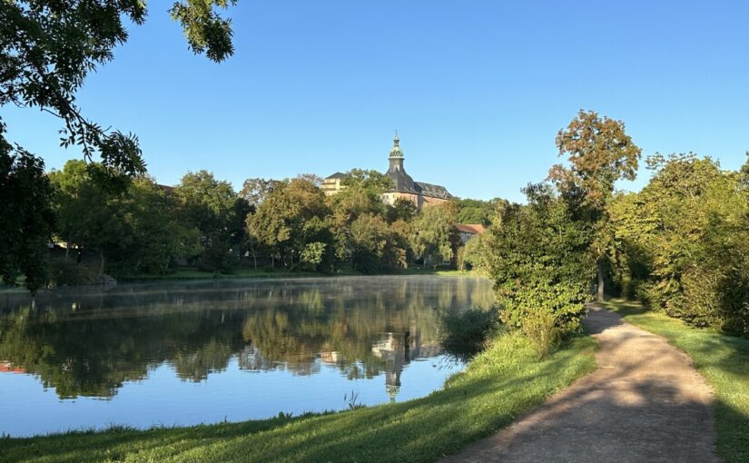 Baumpflegearbeiten im Schlosspark Sondershausen