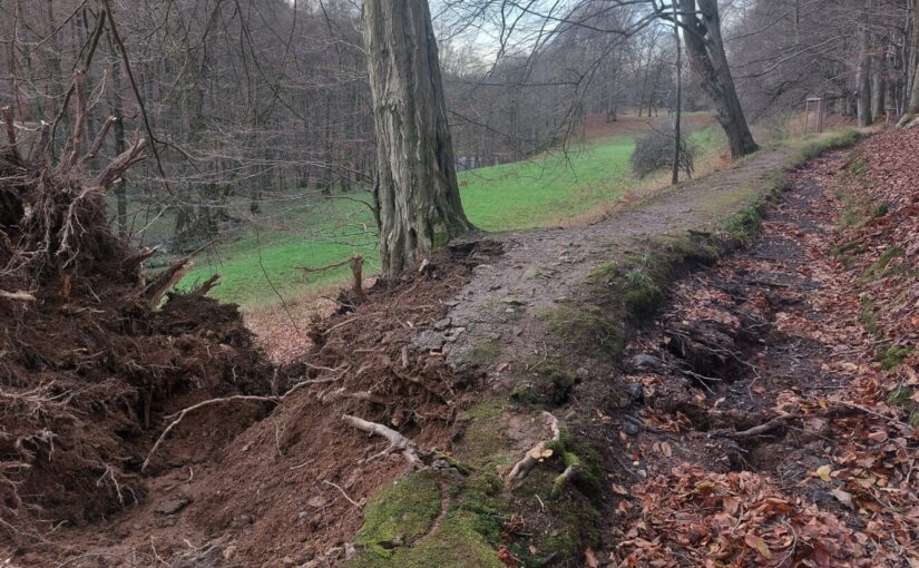 Baumschaden im Schlosspark Altenstein