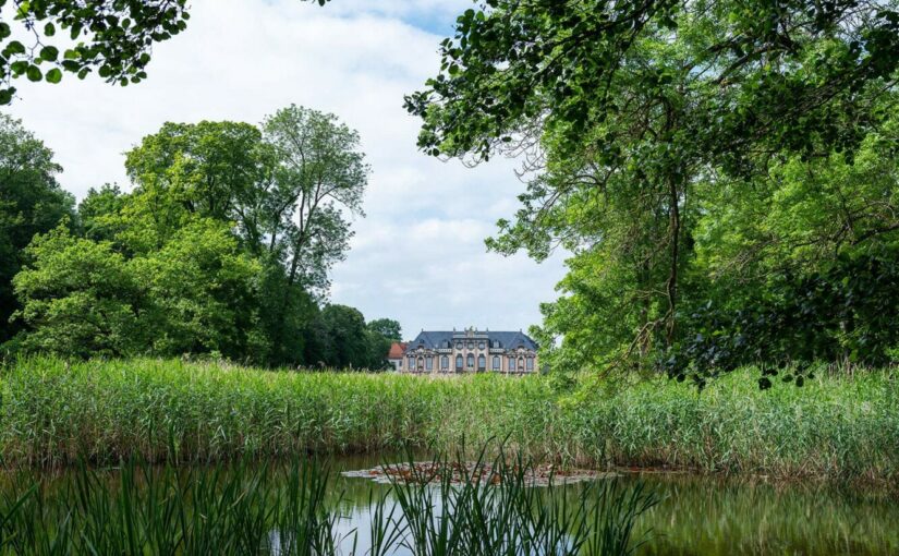 Teichentschlammung im Schlosspark Molsdorf beginnt