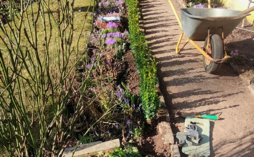 Frischekur für Garten des Kirms-Krackow-Hauses Weimar