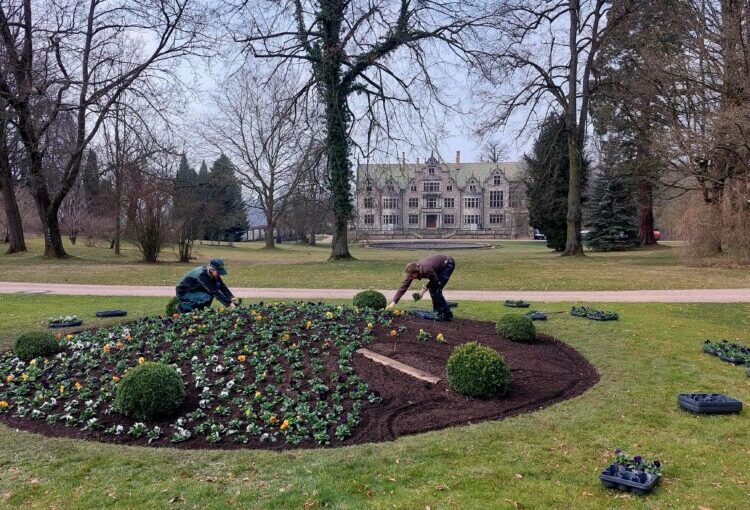 Frühjahrsboten im Schlosspark Altenstein