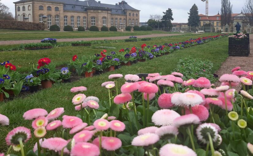 Frühjahrsbepflanzung im Herzoglichen Park Gotha