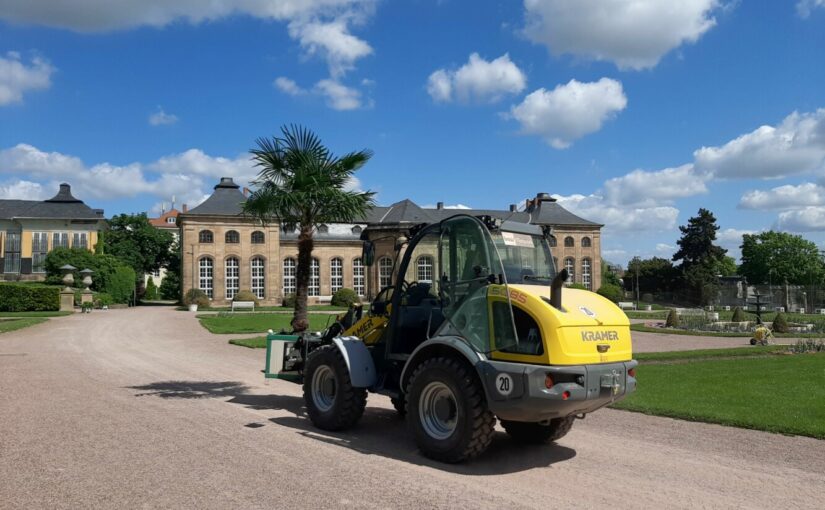 Exoten zurück im Orangerieparterre