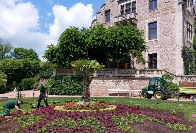 Sommerbepflanzung im Schlosspark Altenstein