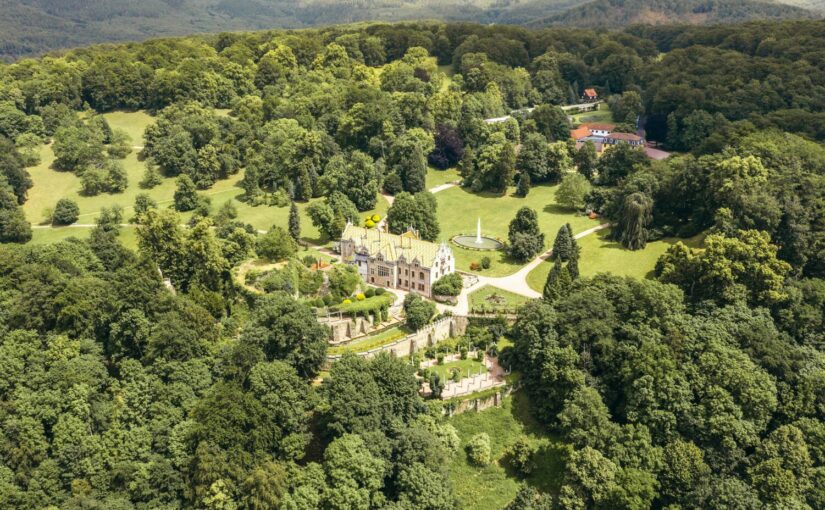 Baumschäden im Schlosspark Altenstein